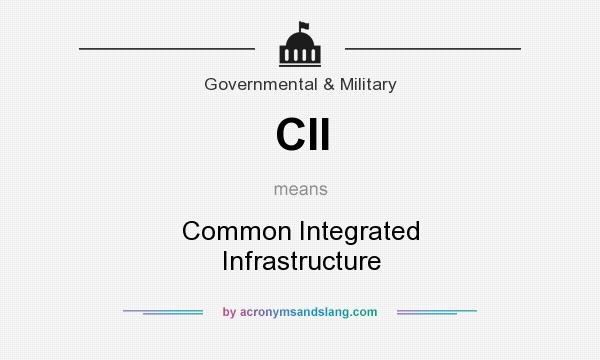 What does CII mean? It stands for Common Integrated Infrastructure