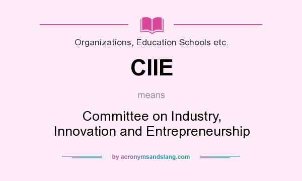 What does CIIE mean? It stands for Committee on Industry, Innovation and Entrepreneurship