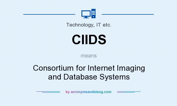 What does CIIDS mean? It stands for Consortium for Internet Imaging and Database Systems