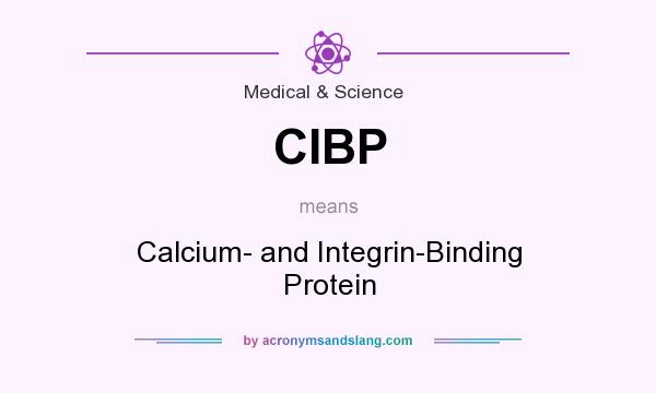 What does CIBP mean? It stands for Calcium- and Integrin-Binding Protein