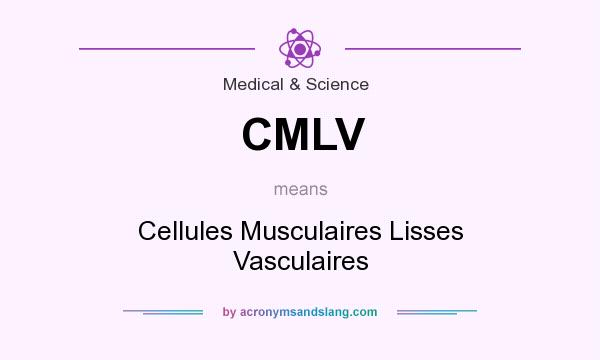 What does CMLV mean? It stands for Cellules Musculaires Lisses Vasculaires