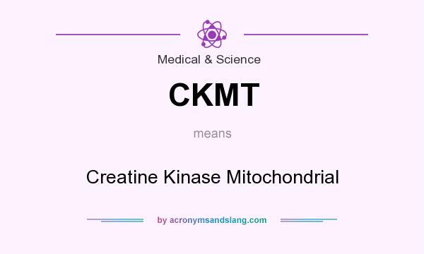 What does CKMT mean? It stands for Creatine Kinase Mitochondrial