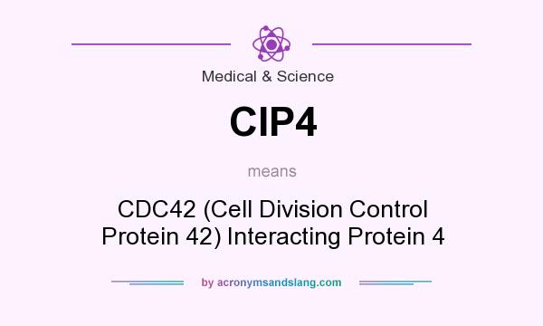 What does CIP4 mean? It stands for CDC42 (Cell Division Control Protein 42) Interacting Protein 4