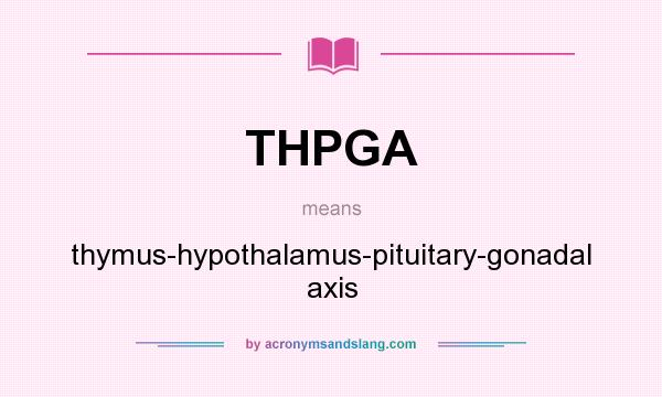 What does THPGA mean? It stands for thymus-hypothalamus-pituitary-gonadal axis