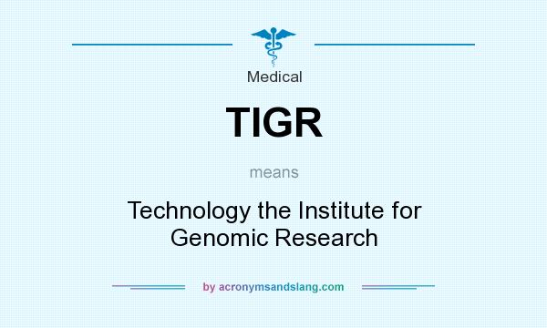 What does TIGR mean? It stands for Technology the Institute for Genomic Research