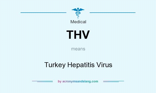 What does THV mean? It stands for Turkey Hepatitis Virus