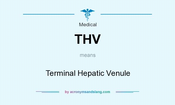 What does THV mean? It stands for Terminal Hepatic Venule