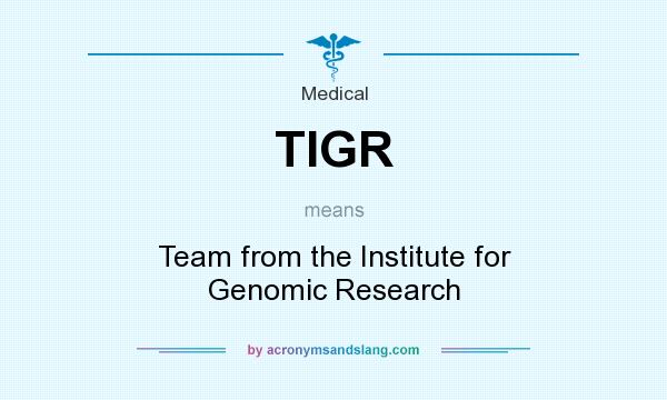 What does TIGR mean? It stands for Team from the Institute for Genomic Research