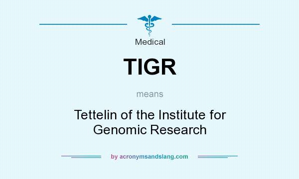 What does TIGR mean? It stands for Tettelin of the Institute for Genomic Research