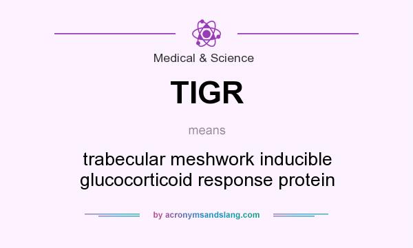What does TIGR mean? It stands for trabecular meshwork inducible glucocorticoid response protein