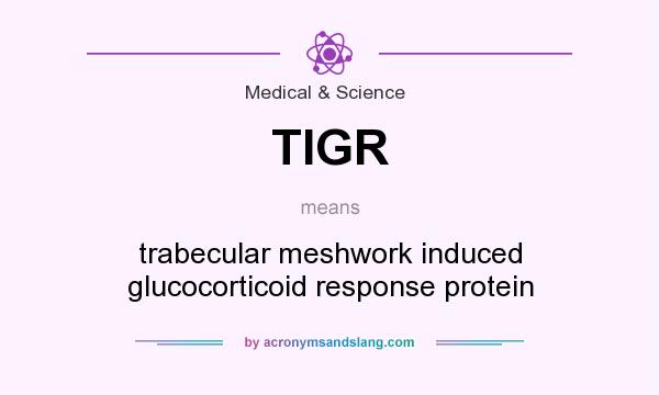 What does TIGR mean? It stands for trabecular meshwork induced glucocorticoid response protein