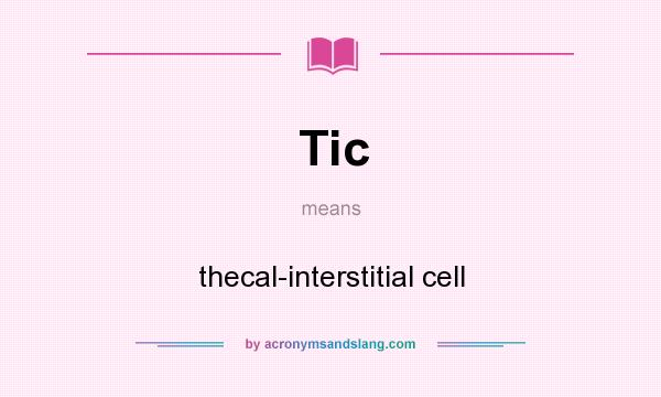 What does Tic mean? It stands for thecal-interstitial cell