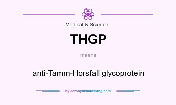 What does THGP mean? It stands for anti-Tamm-Horsfall glycoprotein