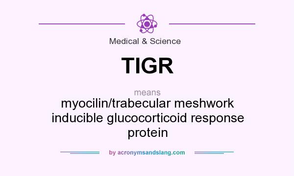 What does TIGR mean? It stands for myocilin/trabecular meshwork inducible glucocorticoid response protein