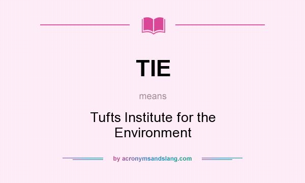 What does TIE mean? It stands for Tufts Institute for the Environment