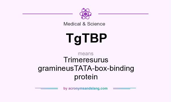 What does TgTBP mean? It stands for Trimeresurus gramineusTATA-box-binding protein