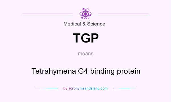 What does TGP mean? It stands for Tetrahymena G4 binding protein