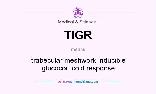 What does TIGR mean? It stands for trabecular meshwork inducible glucocorticoid response