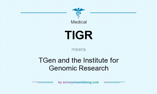 What does TIGR mean? It stands for TGen and the Institute for Genomic Research