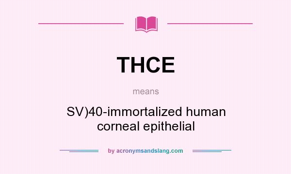 What does THCE mean? It stands for SV)40-immortalized human corneal epithelial