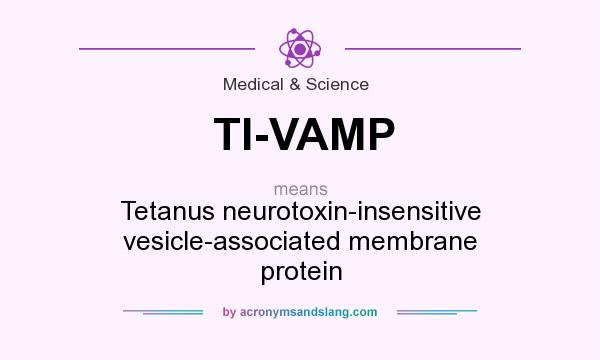 What does TI-VAMP mean? It stands for Tetanus neurotoxin-insensitive vesicle-associated membrane protein