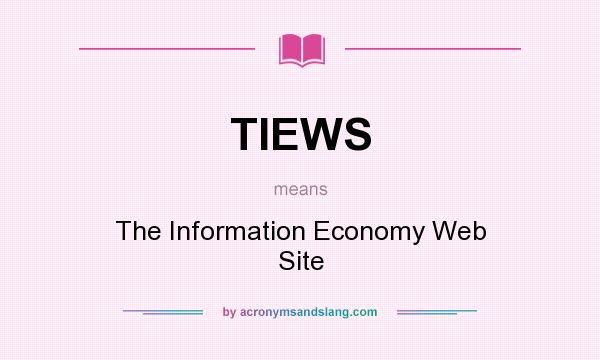 What does TIEWS mean? It stands for The Information Economy Web Site