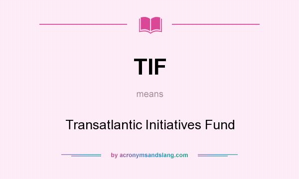 What does TIF mean? It stands for Transatlantic Initiatives Fund