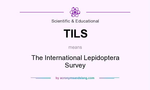 What does TILS mean? It stands for The International Lepidoptera Survey