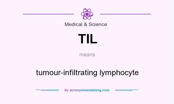 What does TIL mean? It stands for tumour-infiltrating lymphocyte
