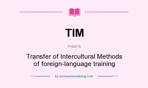 What does TIM mean? It stands for Transfer of Intercultural Methods of foreign-language training