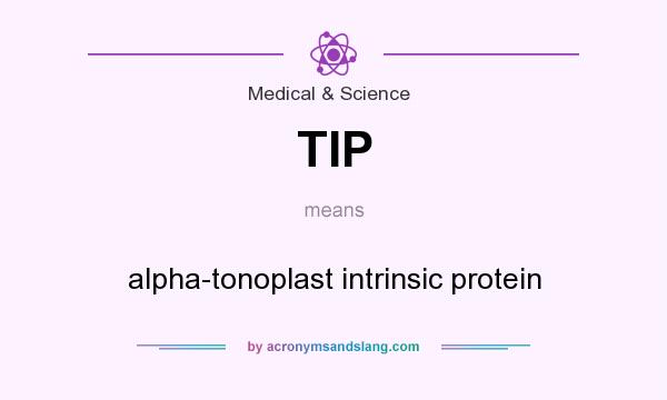 What does TIP mean? It stands for alpha-tonoplast intrinsic protein