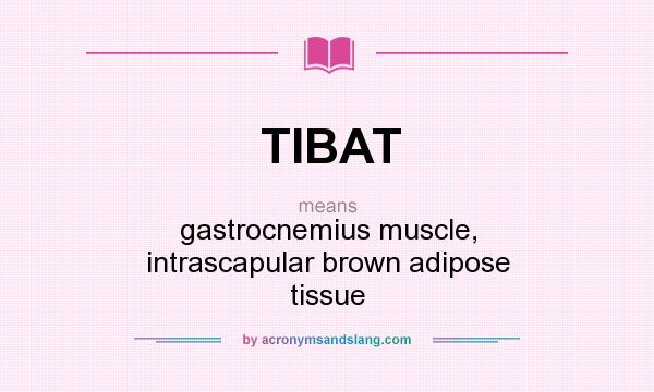 What does TIBAT mean? It stands for gastrocnemius muscle, intrascapular brown adipose tissue