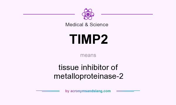 What does TIMP2 mean? It stands for tissue inhibitor of metalloproteinase-2