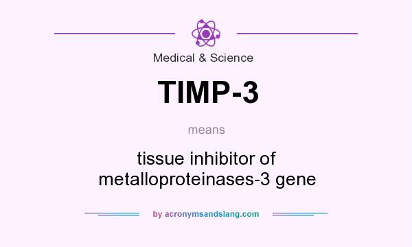 What does TIMP-3 mean? It stands for tissue inhibitor of metalloproteinases-3 gene