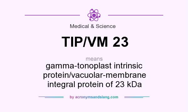 What does TIP/VM 23 mean? It stands for gamma-tonoplast intrinsic protein/vacuolar-membrane integral protein of 23 kDa