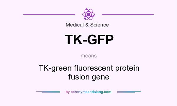 What does TK-GFP mean? It stands for TK-green fluorescent protein fusion gene