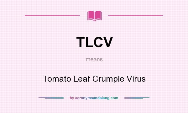 What does TLCV mean? It stands for Tomato Leaf Crumple Virus