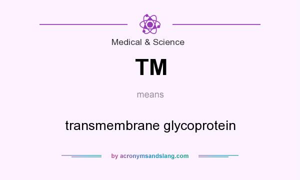 What does TM mean? It stands for transmembrane glycoprotein