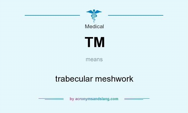 What does TM mean? It stands for trabecular meshwork