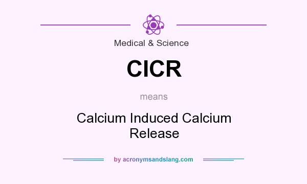 What does CICR mean? It stands for Calcium Induced Calcium Release