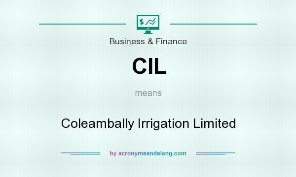 What does CIL mean? It stands for Coleambally Irrigation Limited
