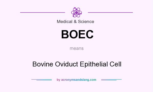 What does BOEC mean? It stands for Bovine Oviduct Epithelial Cell