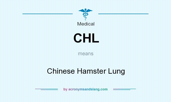 What does CHL mean? It stands for Chinese Hamster Lung