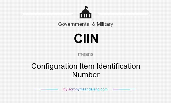 What does CIIN mean? It stands for Configuration Item Identification Number