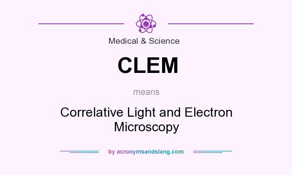 What does CLEM mean? It stands for Correlative Light and Electron Microscopy