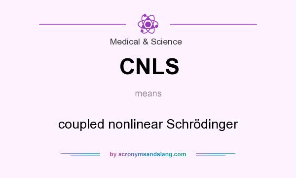What does CNLS mean? It stands for coupled nonlinear Schrödinger