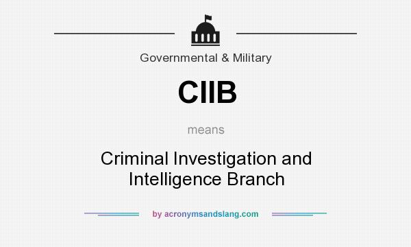 What does CIIB mean? It stands for Criminal Investigation and Intelligence Branch