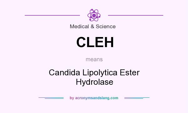 What does CLEH mean? It stands for Candida Lipolytica Ester Hydrolase