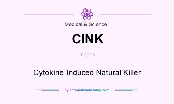 What does CINK mean? It stands for Cytokine-Induced Natural Killer
