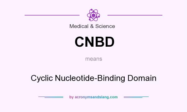What does CNBD mean? It stands for Cyclic Nucleotide-Binding Domain